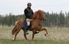 Glöð 6 år