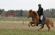 Glöð 6 år