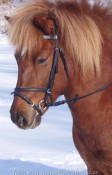Táta 9 år