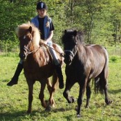 Táta 9 år med Disa som handhäst