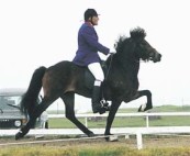 blaeja3-283