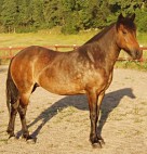 blaeja2006asn