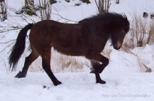 blaeja20050211asn