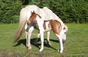 Sæta 2 dagar & mamma Perla