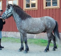 herjann200707b-asn