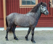 herjann20070718asn