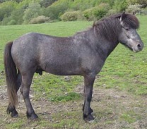 herjann20060527c-300asn